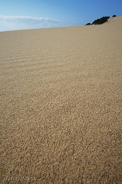 IMG_3618_4 rid  Piscinas.jpg